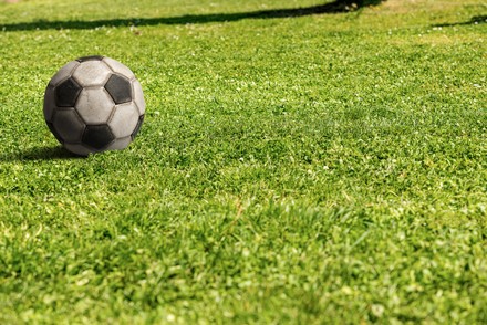 Fußball auf dem Rasen