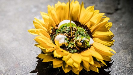 Essen in einer Sonnenblumen-Blüte angerichtet