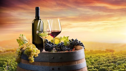 Wein in einem Weinberg