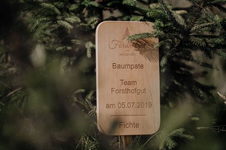 Baumpate Team Forsthofgut