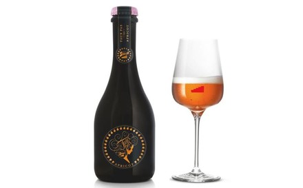 Das „Faux Pas Apricot“