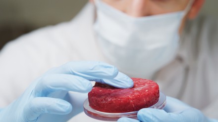 Kultiviertes Fleisch im Labor