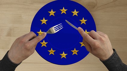 Ein Teller mit einem EU-Symbol