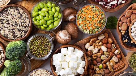 Pflanzliche Eiweißlieferanten.