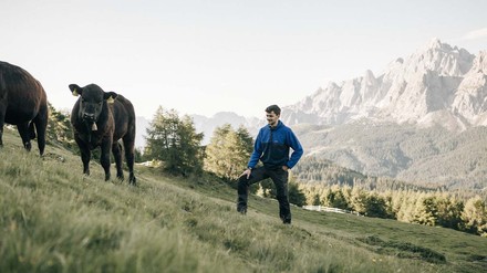 Stephan Mühlmann auf einer Weide