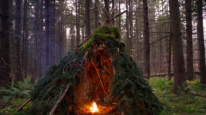 Ein selbstgebautes Zelt aus Zweigen