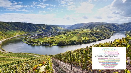 Moselschleife mit Weinbergen