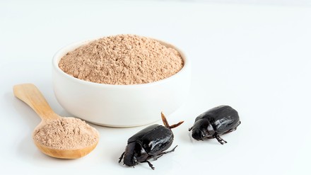 Getreideschimmelkäfer