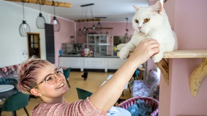 Kater "Bruno" wird von Franziska Müller.