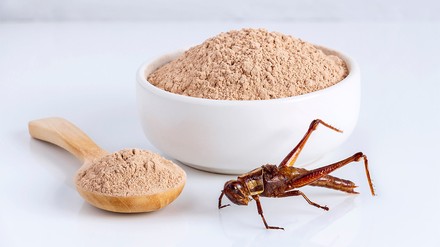 Mehl aus Insekten