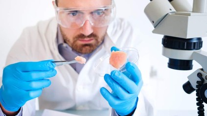 Ein Labormitarbeiter untersucht eine Probe Fleisch