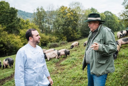 Das erasmus bio fine dining kocht mit 100 Prozent biologisch zertifizierten Zutaten. (Foto: © www.lichtbildstudio.com)