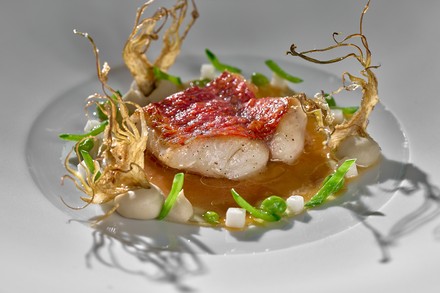 Zu den Höhepunkten des Menüs gehört u. a. eine glasig gebratene Rotbarbe mit Wafusauce. (Foto: © Eatery Berlin by Ben Donath)