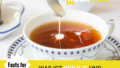 Facts for fun was ist Wulkje und warum ist es Welterbe?