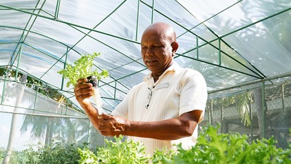 Im 130 Quadratmeter großen Chef's Garden des Sheraton Maldives Full Moon Resort & Spa baut Landschaftsgärtner Ali Thakan Gemüse an.