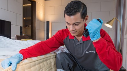 Profi untersucht Bettmatratze nach Bettwanzen.