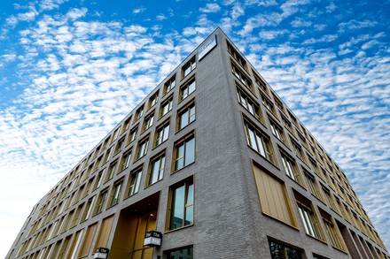 the niu Flower in Konstanz