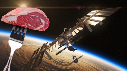 Ein Stück Fleisch im Weltall