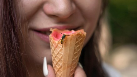 Junge Frau hält eine Eistüte mit einer Wespe daran