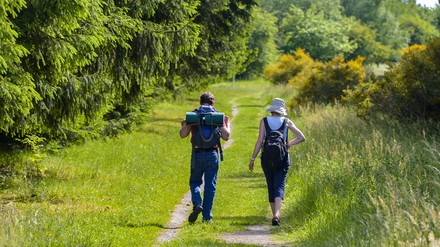 Zwei Wanderer an einem schönen Tag im Wald