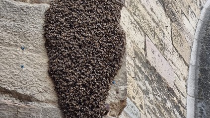 Polizei mit Blaulicht