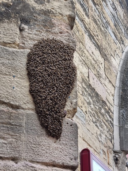 Polizei mit Blaulicht