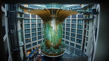 Living Tree in der Lobby des Radisson Collection Hotel, Berlin