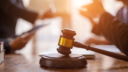 Das Bundesverfassungsgericht