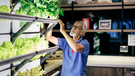 Mann schaut nach Pflanzen