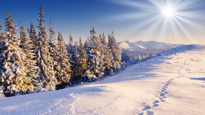 Schneelandschaft im Sonnenschein