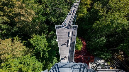 Baumkronenpfads im Nationalpark Hainich