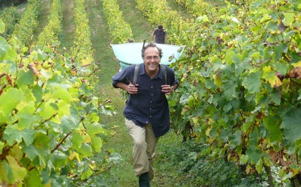 Nicolas Joly auf einem Weinberg