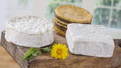 Drei Portionen Normandie-Camembert