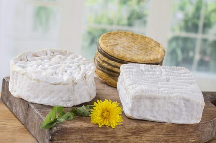 Drei Portionen Normandie-Camembert