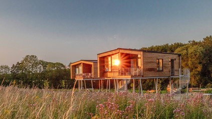 Baumhaus-Lofts des Ostsee Baumhaushotels in Wangels stehen auf Stelzen über einer Wiese in der Abendsonne.