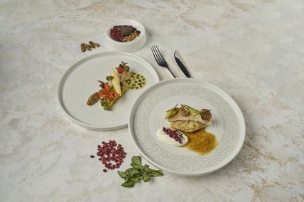 Gerichte von Mustafa Mirzaei im Halbfinale von Koch des Jahres.