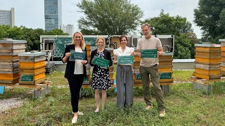 Honigernte aus den Bienenstöcken des Arcotel Kaiserwasser in Wien