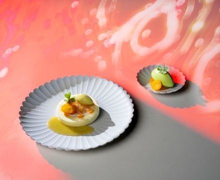 Dieter Koschina in Incarnation: "Blanc Manger" | Agrumen | Pistazie Sauerampfer Sorbet | Kumquat | Biskuit