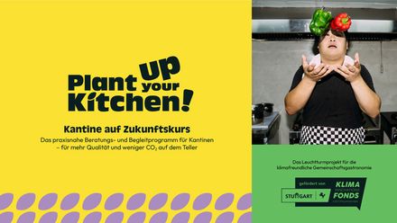 Plant up your kitchen!
