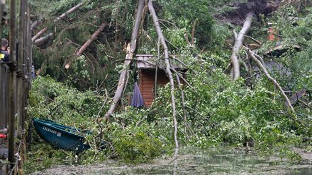 Ruderboote, ein Funktionsgebäude und ein Imbiss am Amselsee sind nach einem schweren Unwetter in der Sächsischen Schweiz von Bäumen bedeckt.