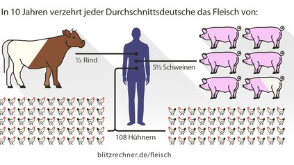 Eine Statistik bei Blitzrechner zeigt wie viele Tiere für den Fleischkonsum eines Menschen notwendig sind