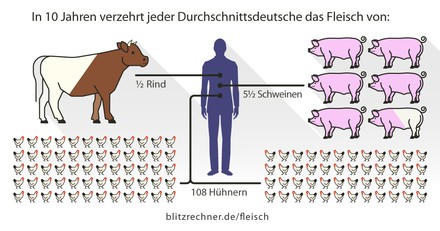 Eine Statistik bei Blitzrechner zeigt wie viele Tiere für den Fleischkonsum eines Menschen notwendig sind