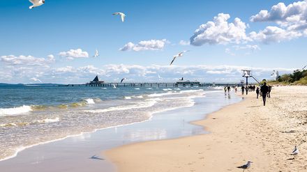 Strand mit Menschen und Möwen