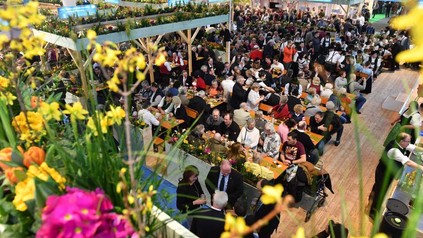 Menschenmenge auf Grüner Woche in Berlin