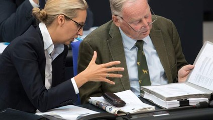 Alice Weidel und Alexander Gauland bei einer Parteisitzung