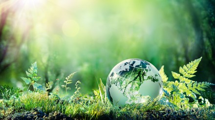 Gläserne Weltkugel auf dem Waldboden zwischen Moos und Farn