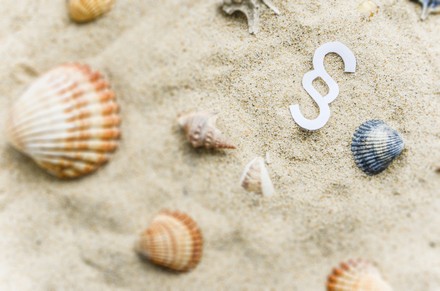 Ein Strand mit Muscheln und einem Paragraphensymbol