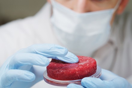 Ein Stück künstliches Fleisch in einem Labor