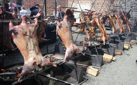 Beim Grill- und Genussfestival werden Schweine im Asado-Stil gegrillt