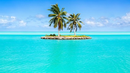 Insel mit zwei Palmen